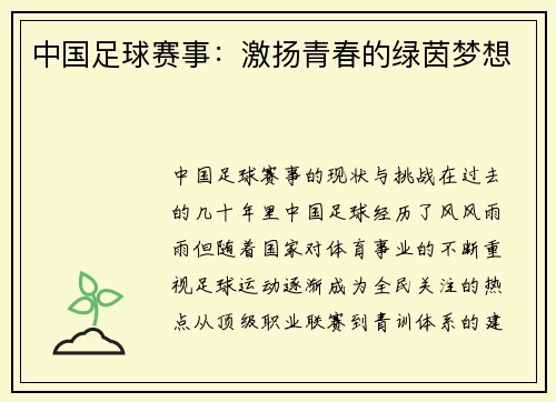 中国足球赛事：激扬青春的绿茵梦想