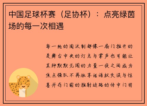 中国足球杯赛（足协杯）：点亮绿茵场的每一次相遇