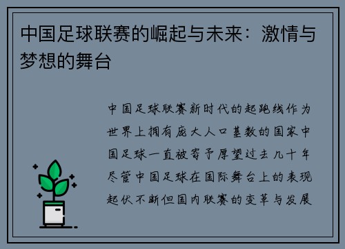 中国足球联赛的崛起与未来：激情与梦想的舞台